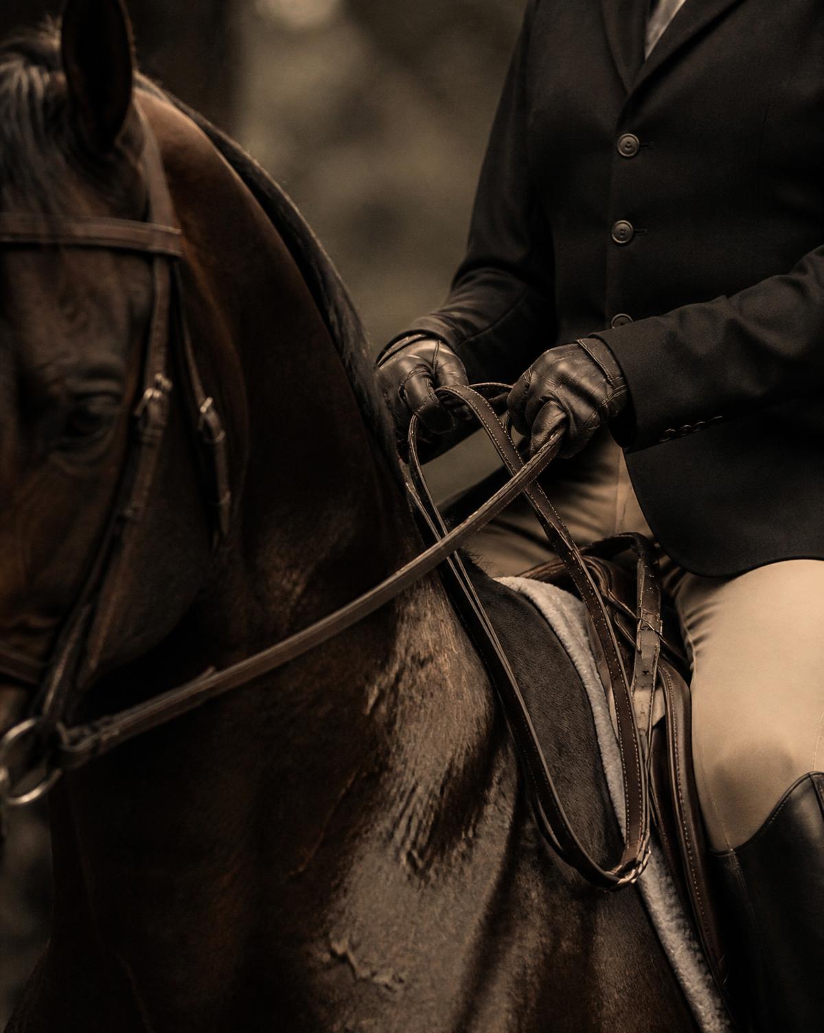 Rider holding the reins